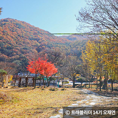 직지문화공원 산책길 ⓒ 트레블리더 14기 오채연