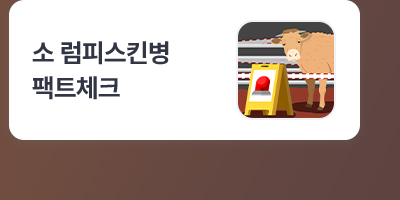 소 럼피스킨병 팩트체크