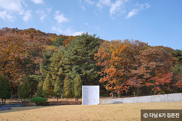 넓게 펼쳐진 잔디밭 ⓒ 다님 6기 김은진