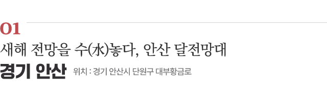 01 새해 전망을 수(水)놓다, 안산 달전망대 / 위치 : 경기 안산시 단원구 대부황금로 / 자세히보기