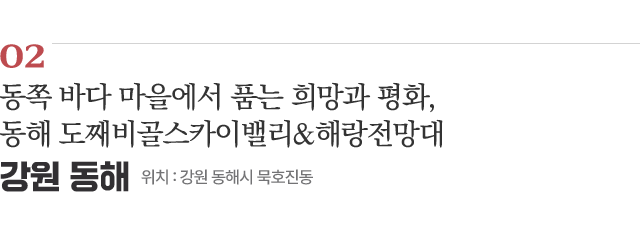 02 동쪽 바다 마을에서 품는 희망과 평화,동해 도째비골스카이밸리&해랑전망대 / 위치 : 강원 동해시 묵호진동 / 자세히보기