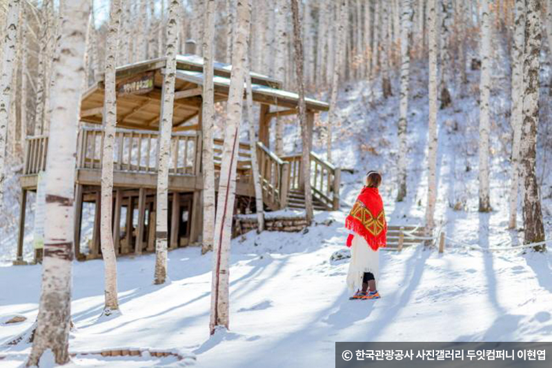 속삭이는자작나무숲 초입에 있는 나무 움집은 이곳의 대표 포토존 ⓒ 한국관광공사 사진갤러리 두잇컴퍼니 이현엽