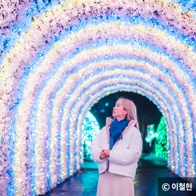 벚꽃터널에서 사진 ⓒ 이철현