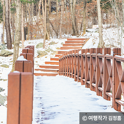 성주산자연휴양림 계단 © 여행작가 김정흠