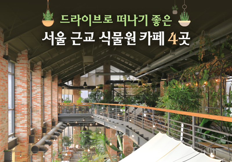 드라이브로 떠나기 좋은 서울 근교 식물원 카페 4곳 