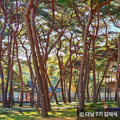 우이동 솔밭근린공원 ⓒ 다님 7기 김덕식