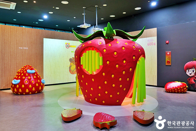 딸기모양 집 ⓒ 한국관광공사