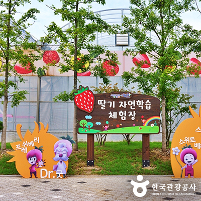 딸기 자연학습 체험장 입구 ⓒ 한국관광공사