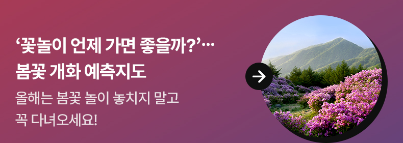 ‘꽃놀이 언제 가면 좋을까?’…봄꽃 개화 예측지도 올해는 봄꽃 놀이 놓치지 말고 꼭 다녀오세요!