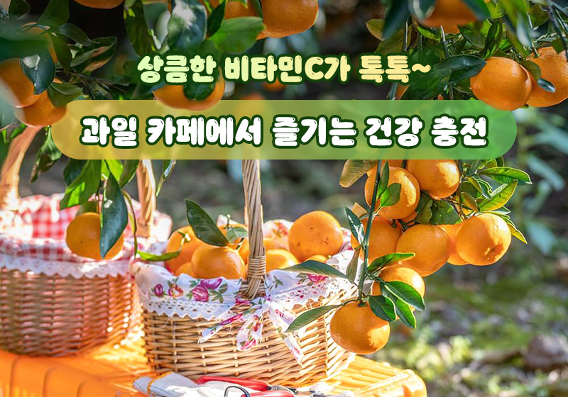 상큼한 비타민C가 톡톡~ 과일 카페에서 즐기는 건강 충전