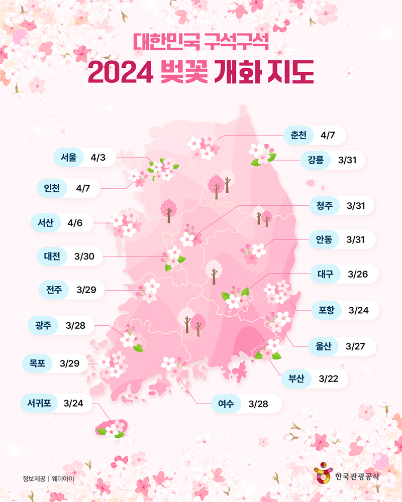 대한민국 구석구석 2024 벚꽃 개화 지도 서울 4/3, 인천 4/7, 서산 4/6, 대전 3/30, 전주 3/28, 목포 3/29, 서귀포 3/24, 춘천 4/7, 강릉 3/31, 청주 3/31, 안동 3/31, 대구 3/26, 포항 3/24, 울산 3/27, 부선 3/22, 여수 3/28 정보제공: 웨더아이 ⓒ 한국관광공사