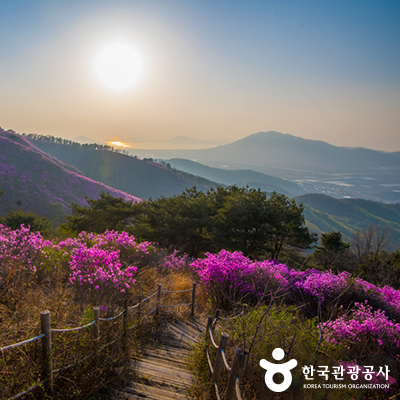 등산로에 핀 진달래 © 한국관광공사