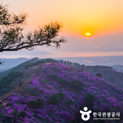산 정상에 핀 진달래 © 한국관광공사
