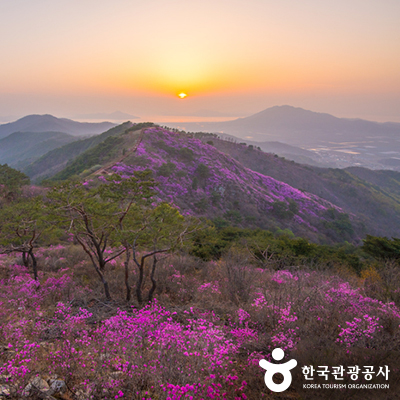 진달래군락지에서 본 해 © 한국관광공사