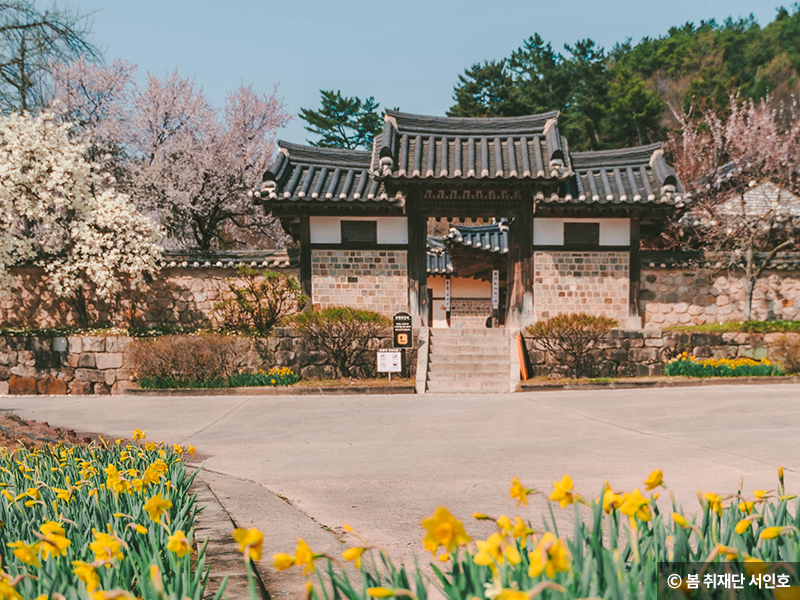 추사고택 입구 © 봄 취재단 서인호