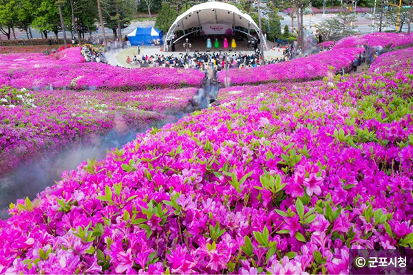 군포 철쭉 축제 © 군포시청