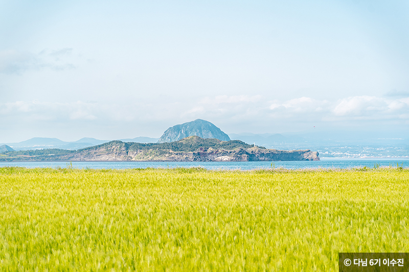 제주도 본섬과 마라도 ⓒ 다님 6기 이수진