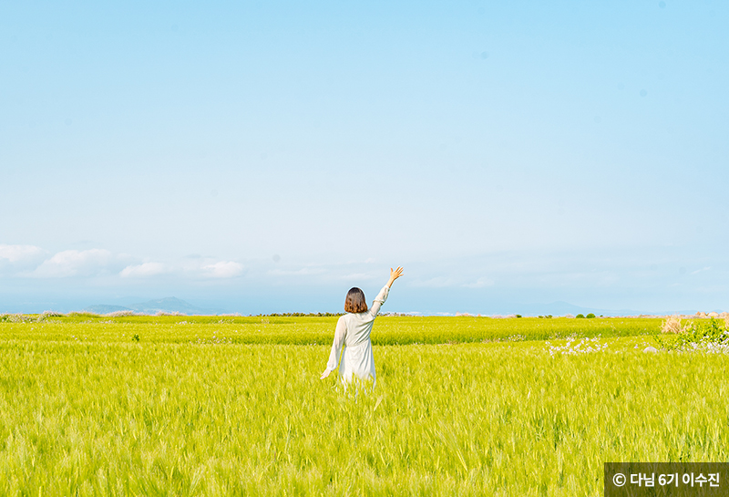 청보리밭에서 사진 ⓒ 다님 6기 이수진