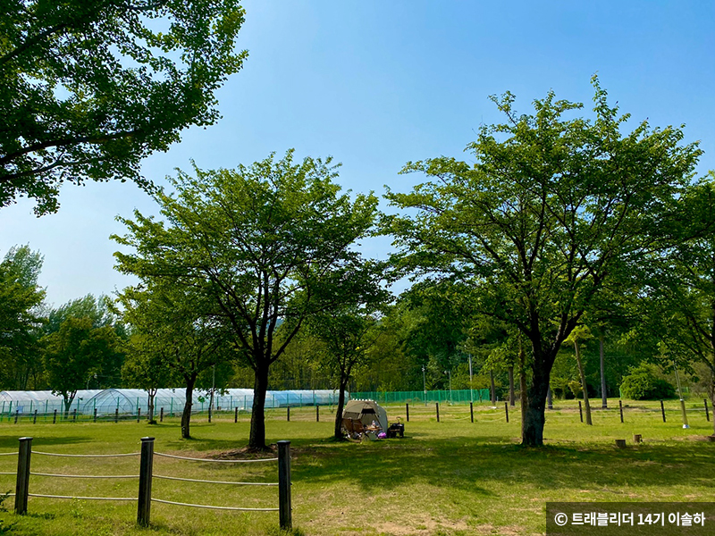 암호에 있는 중도에 조성된 곳 © 트래블리더 14기 이솔하