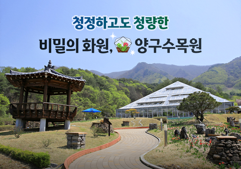 청정하고도 청량한 비밀의 화원, 양구수목원