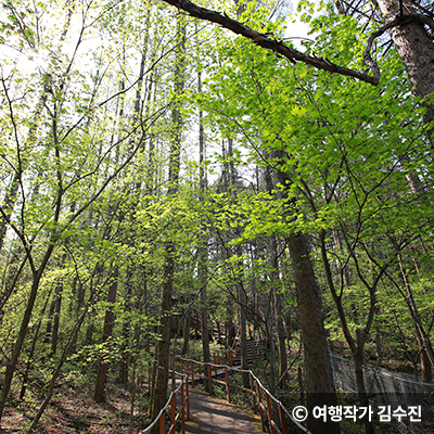 ⓒ 여행작가 김수진