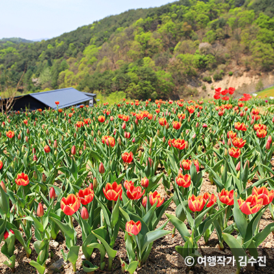 ⓒ 여행작가 김수진