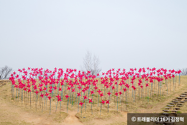 3천 여개의 바람개비 ⓒ 트래블리더 김정혁