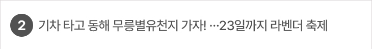 2. 기차 타고 동해 무릉별유천지 가자! …23일까지 라벤더 축제