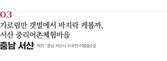 03 가로림만 갯벌에서 바지락 캐볼까, 서산 중리어촌체험마을 / 위치 : 충남 서산시 지곡면 어름들2길 / 자세히보기