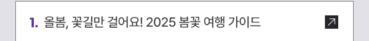 1. 올봄, 꽃길만 걸어요! 2025 봄꽃 여행 가이드