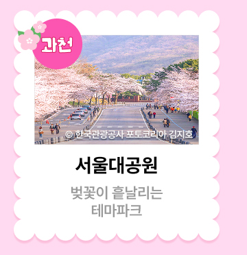 과천 ⓒ한국관광공사 포토코리아 김지호 서울대공원 벚꽃이 흩날리는 테마파크