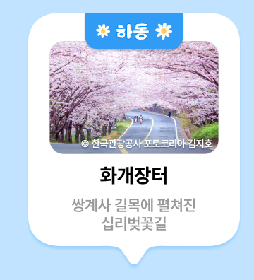 하동 ⓒ한국관광공사 포토코리아 김지호 화개장터 쌍계사 길목에 펼쳐진 십리벚꽃길