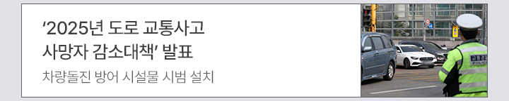 2025년 도로 교통사고 사망자 감소대책 발표 차량돌진 방어 시설물 시범 설치