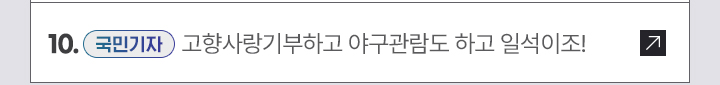 10. [국민기자] 고향사랑기부하고 야구관람도 하고 일석이조!
