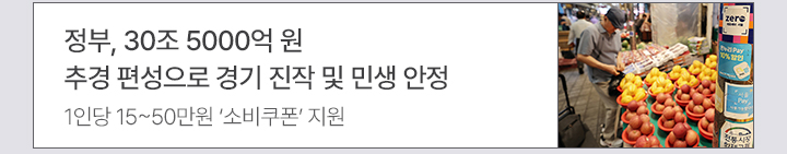 정부, 30조 5000억 원 추경 편성으로 경기 진작 및 민생 안정 1인당 15~50만원 소비쿠폰 지원