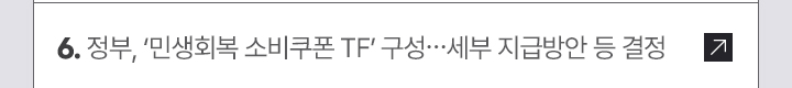6. 정부, 민생회복 소비쿠폰 TF 구성…세부 지급방안 등 결정