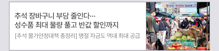 추석 장바구니 부담 줄인다…성수품 최대 물량 풀고 반값 할인까지 [추석 물가안정대책 총정리] 명절 자금도 역대 최대 공급