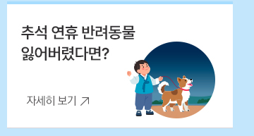 2. 추석 연휴 반려동물 잃어버렸다면?