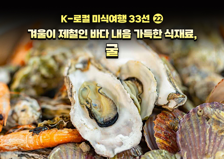 [K-로컬 미식여행 33선] (22) 겨울이 제철인 바다 내음 가득한 식재료, 굴
