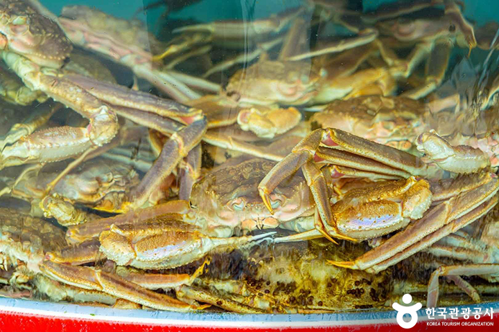 ⓒ 한국관광공사