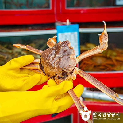 ⓒ 한국관광공사