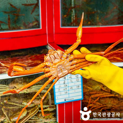 ⓒ 한국관광공사