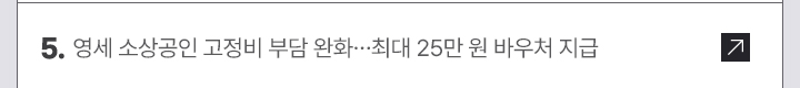 5. 영세 소상공인 고정비 부담 완화&hellip;최대 25만 원 바우처 지급