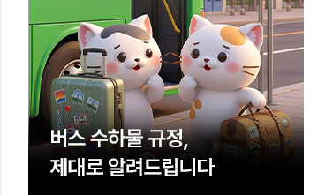 버스 수하물 규정, 제대로 알려드립니다