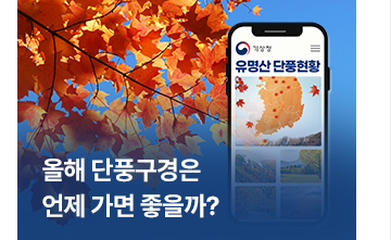 올해 단풍구경은 언제 가면 좋을까?